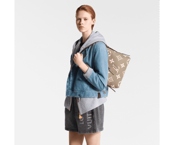 Louis Vuitton Carryall Pm M47180, Designer Handbags, Womens Purse, luxury bags