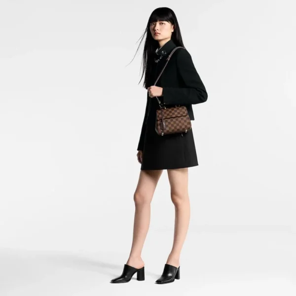 Louis Vuitton Cluny Mini N00097, Designer Handbags, Womens Purse, luxury bags