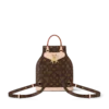Louis Vuitton Montsouris Pm 30cm M11198, Designer Handbags, Womens Purse, luxury bags