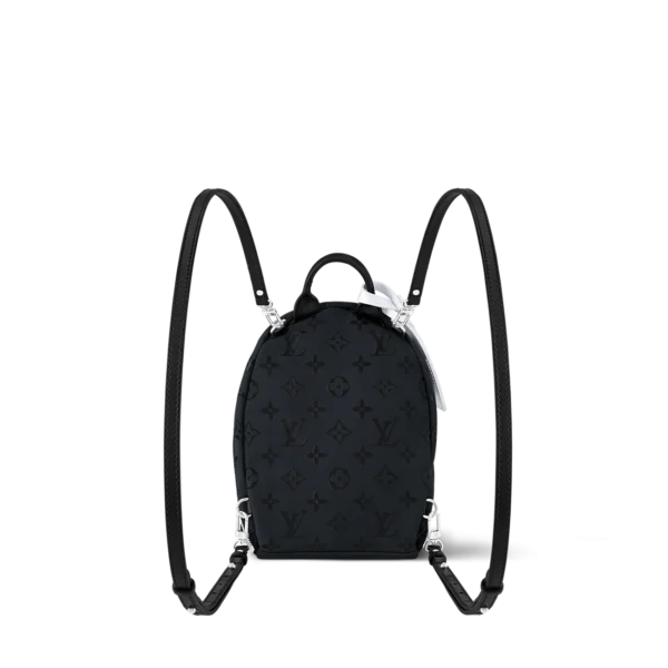 Louis Vuitton Palm Spring Mini M11780, Designer Handbags, Womens Purse, luxury bags
