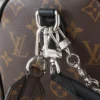 Louis Vuitton Speedy Soft 30 Dark Brown 30Cm M12243, Designer Handbags, Womens Purse, luxury bags