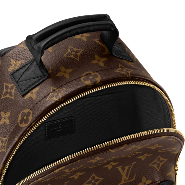 1F06453A-0677-0C96-5A0D-D640EBFBAF87-de17b0434c70.webp Louis Vuitton Palm Springs Backpack MM Monogram Canvas 28cm/11in M44874, Designer Handbags, Womens Purse, luxury bags