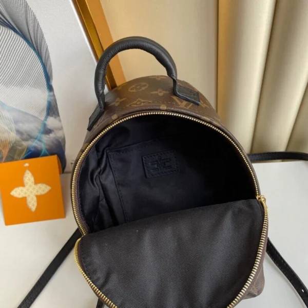 Louis Vuitton Palm Springs Backpack Mini Monogram Canvas 17cm/6.7in, Designer Handbags, Womens Purse, luxury bags