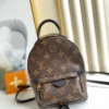 Louis Vuitton Palm Springs Backpack Mini Monogram Canvas 17cm/6.7in, Designer Handbags, Womens Purse, luxury bags