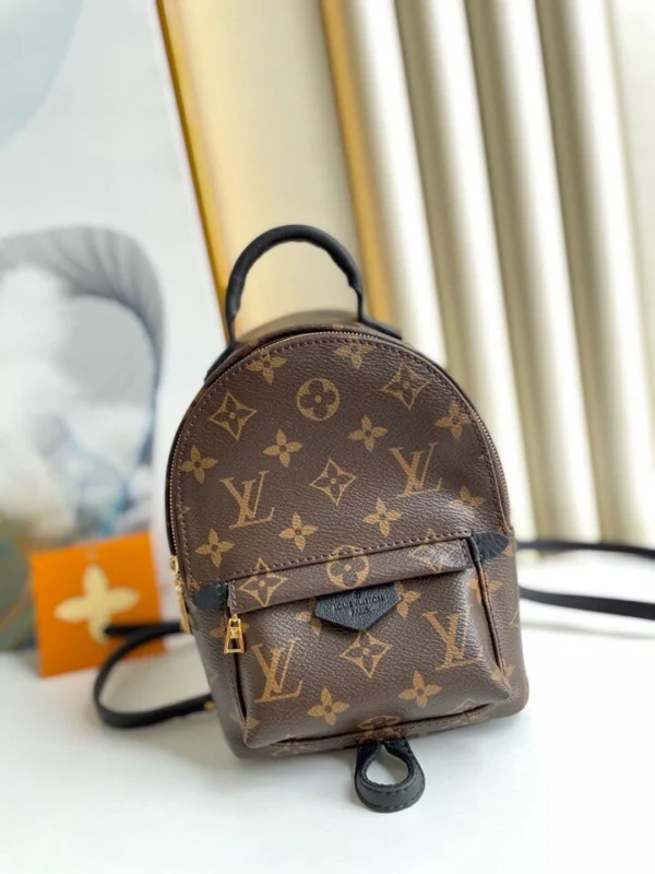Louis Vuitton Palm Springs Backpack Mini Monogram Canvas 17cm/6.7in, Designer Handbags, Womens Purse, luxury bags