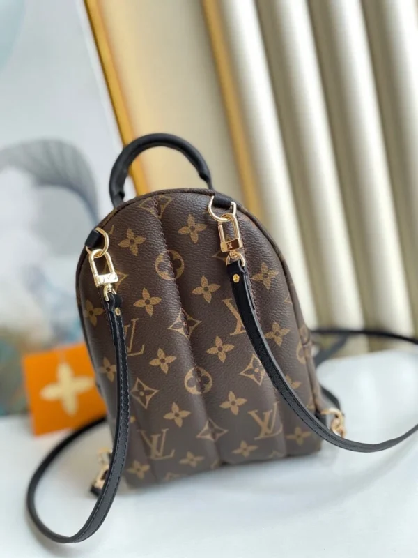 Louis Vuitton Palm Springs Backpack Mini Monogram Canvas 17cm/6.7in, Designer Handbags, Womens Purse, luxury bags