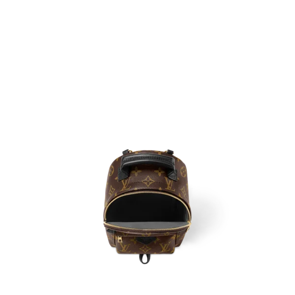 Louis Vuitton Palm Springs Backpack Mini Monogram Canvas 17cm/6.7in, Designer Handbags, Womens Purse, luxury bags