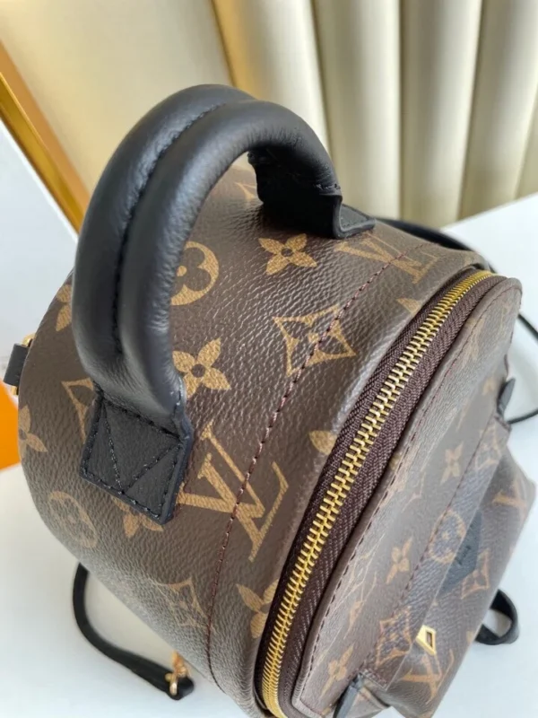 Louis Vuitton Palm Springs Backpack Mini Monogram Canvas 17cm/6.7in, Designer Handbags, Womens Purse, luxury bags