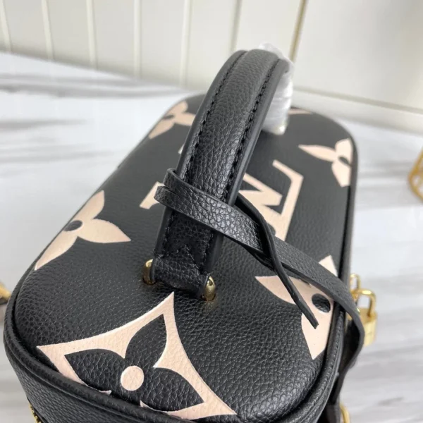 Louis Vuitton Vanity Pm 39Cm, Designer Handbags, Womens Purse, luxury bags