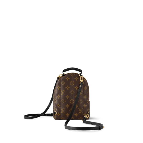 Louis Vuitton Palm Springs Backpack Mini Monogram Canvas 17cm/6.7in, Designer Handbags, Womens Purse, luxury bags