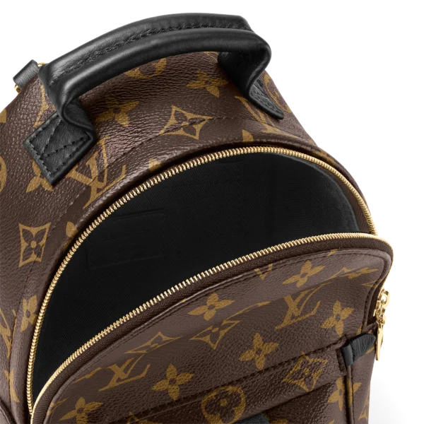 Louis Vuitton Palm Springs Backpack Mini Monogram Canvas 17cm/6.7in, Designer Handbags, Womens Purse, luxury bags