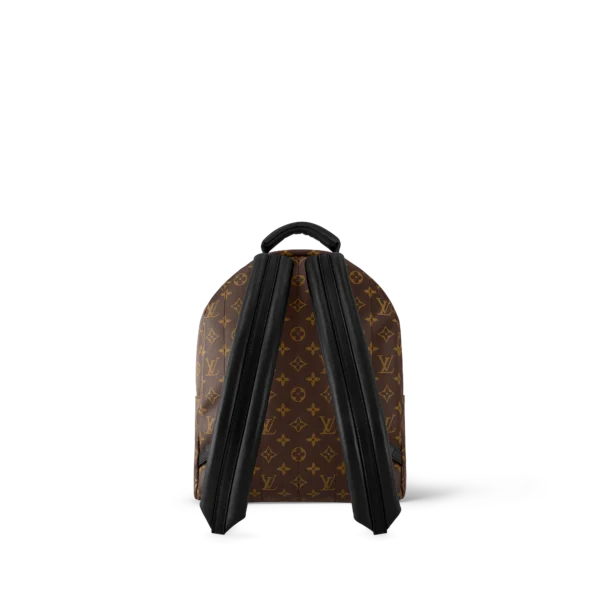 AA7D48CB-12A6-B00C-0B94-376BAE9E94E3-1e856dbd8f64.webp Louis Vuitton Palm Springs Backpack MM Monogram Canvas 28cm/11in M44874, Designer Handbags, Womens Purse, luxury bags