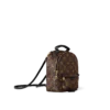 Louis Vuitton Palm Springs Backpack Mini Monogram Canvas 17cm/6.7in, Designer Handbags, Womens Purse, luxury bags