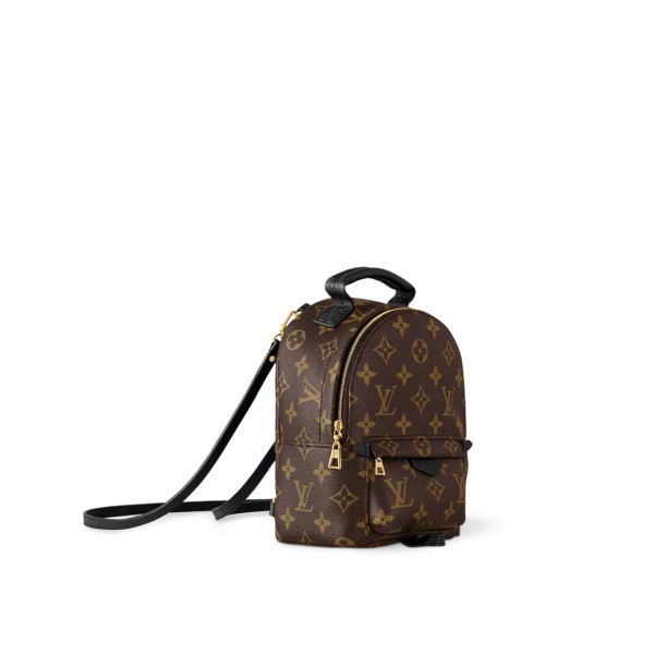Louis Vuitton Palm Springs Backpack Mini Monogram Canvas 17cm/6.7in, Designer Handbags, Womens Purse, luxury bags