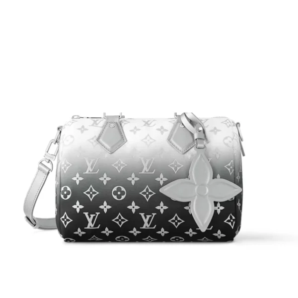Louis Vuitton Speedy Bandouliere 25 Frost Gardiant Silver 25cm M11848, Designer Handbags, Womens Purse, luxury bags