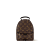 Louis Vuitton Palm Springs Backpack Mini Monogram Canvas 17cm/6.7in, Designer Handbags, Womens Purse, luxury bags