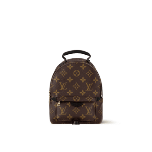 Louis Vuitton Palm Springs Backpack Mini Monogram Canvas 17cm/6.7in, Designer Handbags, Womens Purse, luxury bags