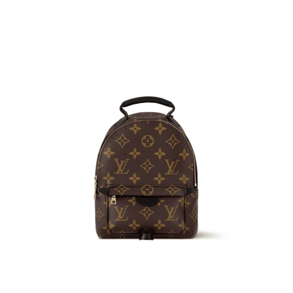 Louis Vuitton Palm Springs Backpack Mini Monogram Canvas 17cm/6.7in, Designer Handbags, Womens Purse, luxury bags