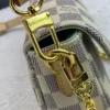 LVYWOCBDE06-1058bfa75023.webp Louis Vuitton Ivy Wallet On Chain Bag Damier Ebene Beige 23cm/9in, Designer Handbags, Womens Purse, luxury bags