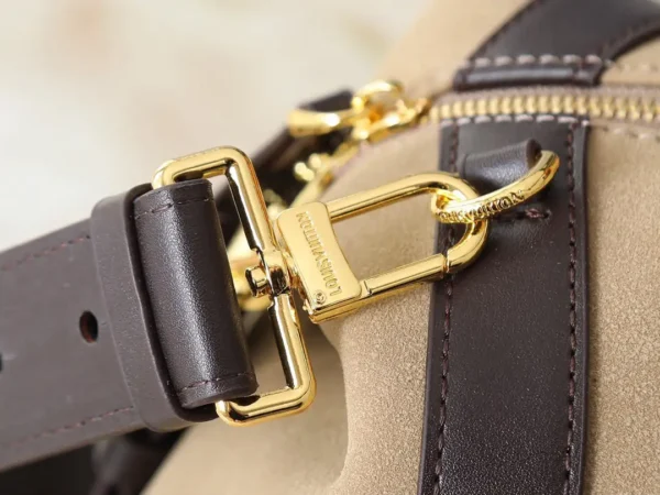 WhatsApp-Image-2026-07-02-at-17.13.26.webp Louis Vuitton LV Biker PM Bag Hazelnut Color 30cm M26640