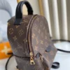 Louis Vuitton Palm Springs Backpack Mini Monogram Canvas 17cm/6.7in, Designer Handbags, Womens Purse, luxury bags