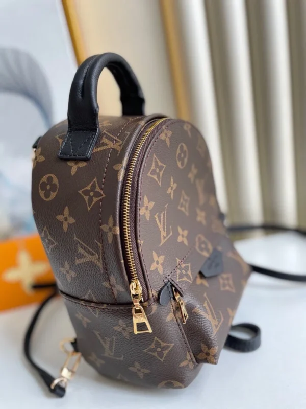 Louis Vuitton Palm Springs Backpack Mini Monogram Canvas 17cm/6.7in, Designer Handbags, Womens Purse, luxury bags