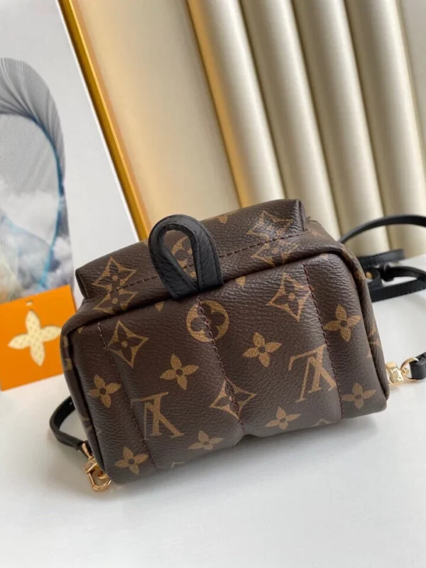 Louis Vuitton Palm Springs Backpack Mini Monogram Canvas 17cm/6.7in, Designer Handbags, Womens Purse, luxury bags
