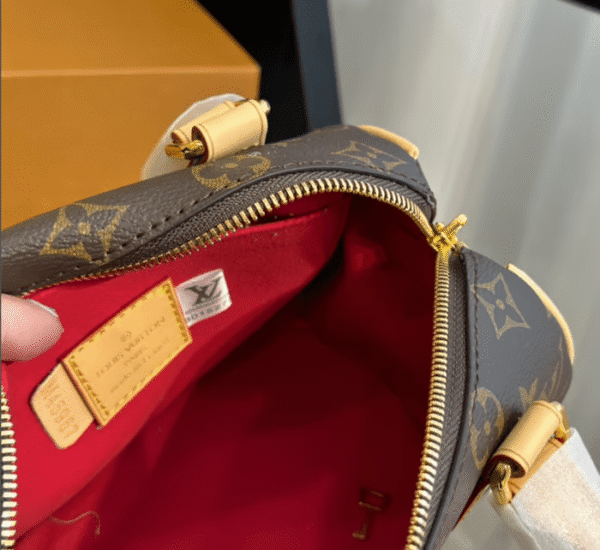 Louis Vuitton Speedy Bandouliere 20 Fuchsia 20cm M46234, Designer Handbags, Womens Purse, luxury bags