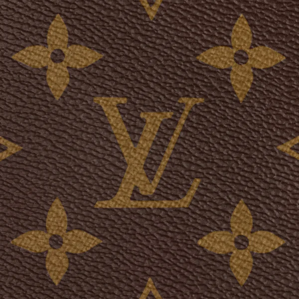 louis-vuitton-carryall-mm-M46197_PM1_Detail-view-bf8daed86498.webp CarryAll MM