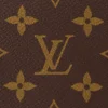 louis-vuitton-loop-hobo-M46311_PM1_Detail-view-2ff998b3a00b.webp Loop Hobo